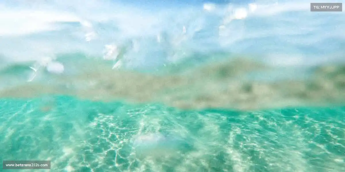 我们的品牌价值